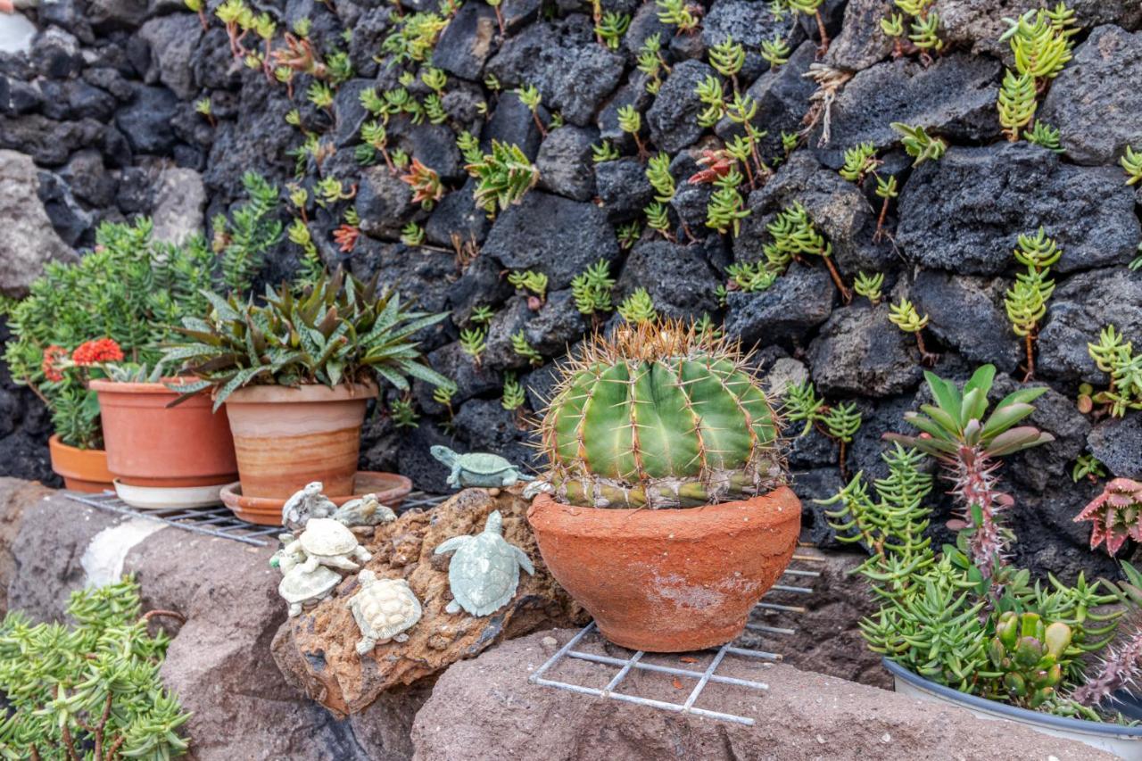 Casa Mari By Canariasgetaway Moya (Gran Canaria) Exterior foto
